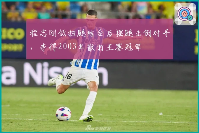 程志刚低扫腿结合后摆腿击倒对手，夺得2003年散打王赛冠军